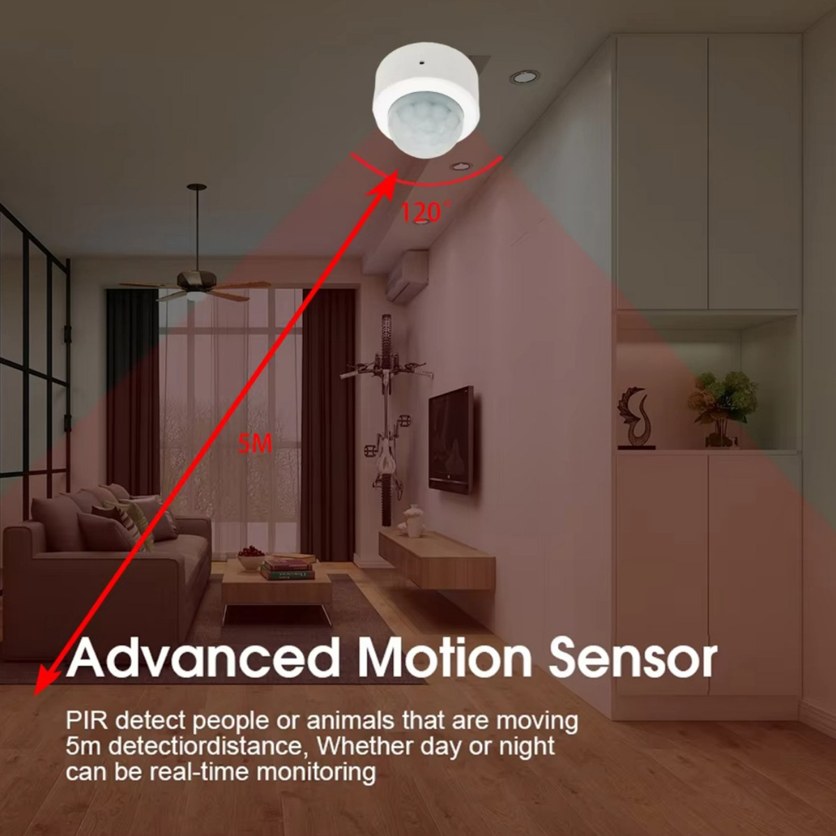 Zigbee PIR Motion Sensor Human - огляд і ціна Home Security Device