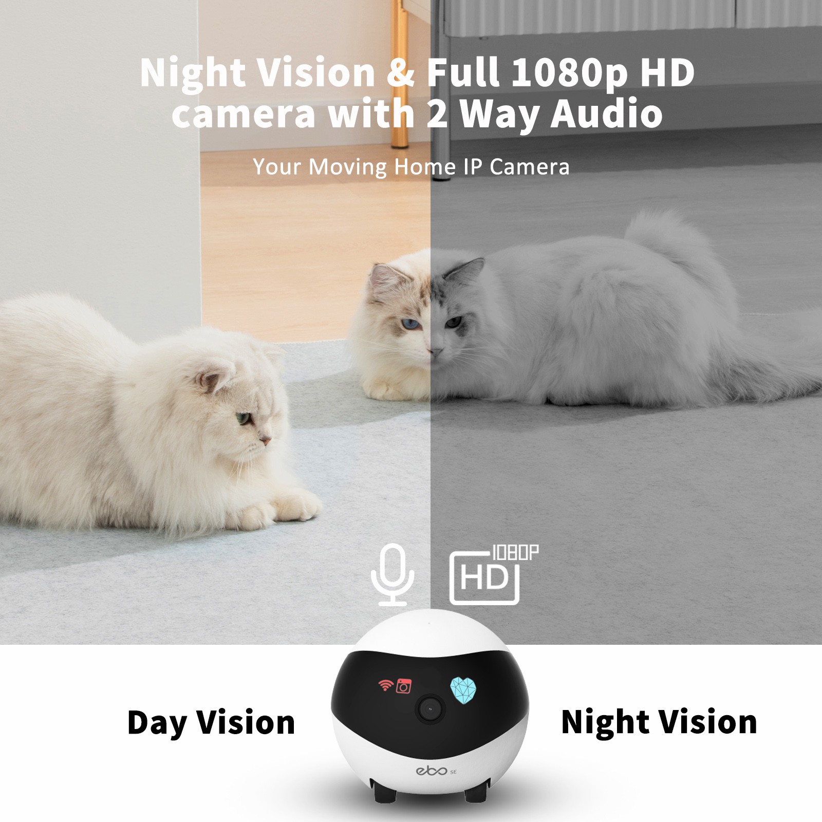 EBO SE Smart Home Robot Compan - огляд і ціна Home Security Robot